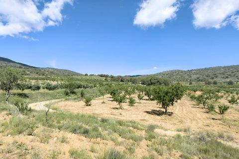 Terra a Raspay, Murcia, Raspay - € 38.000 | Ref: 47026-ML - foto 2