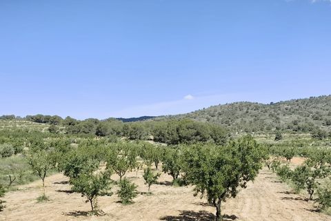 Terra a Raspay, Murcia, Raspay - € 38.000 | Ref: 47026-ML - foto 3