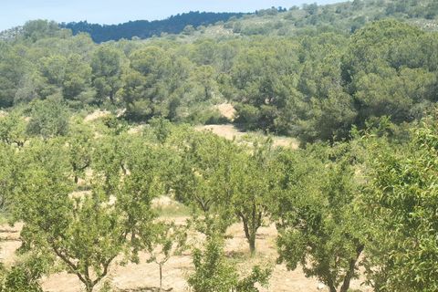 Terra a Raspay, Murcia, Raspay - € 38.000 | Ref: 47026-ML - foto 4