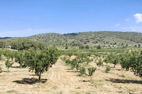 Terra a Raspay, Murcia, Raspay - € 38.000 | Ref: 47026-ML - foto 6