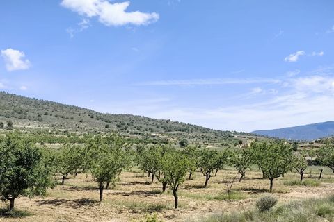 Terra a Raspay, Murcia, Raspay - € 38.000 | Ref: 47026-ML - foto 7