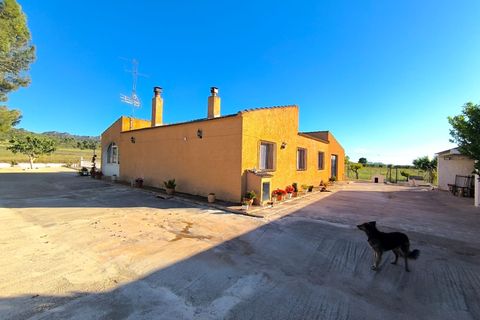 Landejendom i Yecla, Murcia, Yecla - € 275.000 | Ref: 70120 - foto 6