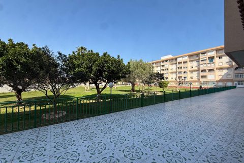 Lägenhet i Torrevieja, Alicante - foto 2