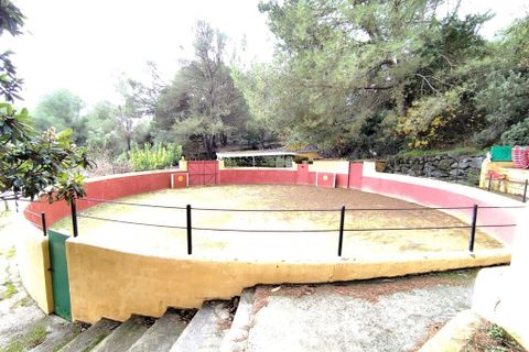 Villa i Monda, Malaga, Monda - € 500.000 | Ref: CLDA-59911 - foto 10