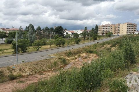 Grond in Agueda, Aveiro, Agueda - € 105.000 | Ref: 916010 - foto 2