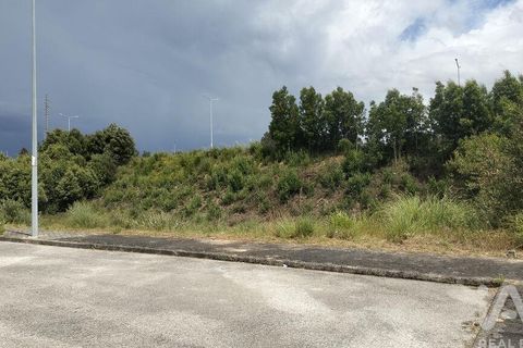 Grond in Agueda, Aveiro, Agueda - € 105.000 | Ref: 916010 - foto 5