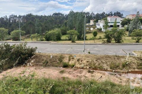 Grond in Agueda, Aveiro, Agueda - € 105.000 | Ref: 916010 - foto 7