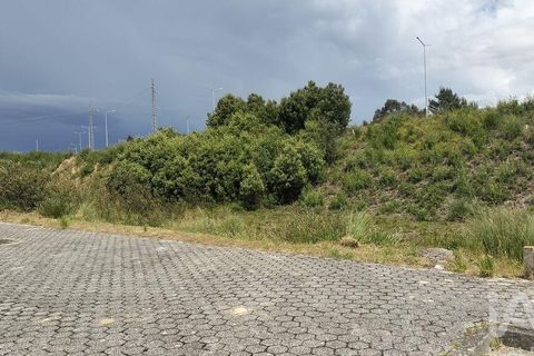 Grond in Agueda, Aveiro, Agueda - € 105.000 | Ref: 916010 - foto 9