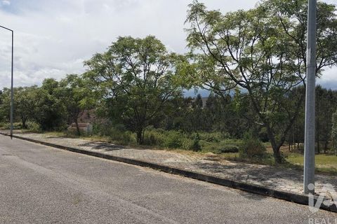 Grond in Agueda, Aveiro, Agueda - € 105.000 | Ref: 916010 - foto 18