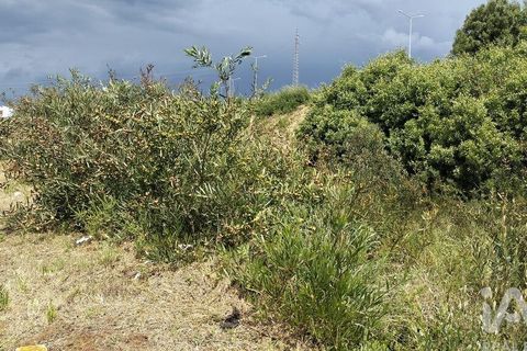 Grond in Agueda, Aveiro, Agueda - € 105.000 | Ref: 916010 - foto 30