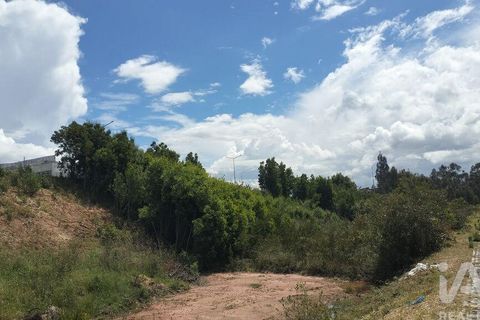Grond in Agueda, Aveiro, Agueda - € 105.000 | Ref: 916010 - foto 34