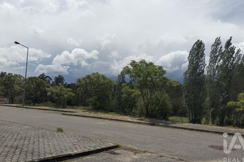 Grond in Agueda, Aveiro, Agueda - € 105.000 | Ref: 916010 - foto 35