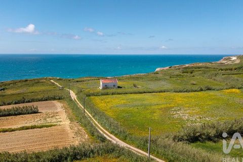 Helårsgrund i Amadora, Lisbon, Amadora - € 2.000.000 | Ref: 912709 - foto 8