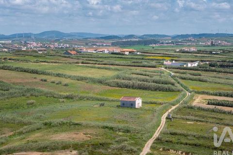Helårsgrund i Amadora, Lisbon, Amadora - € 2.000.000 | Ref: 912709 - foto 14