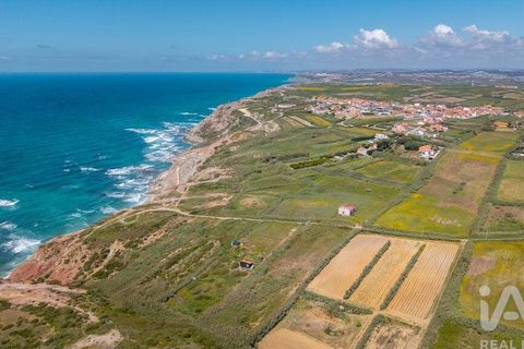 Helårsgrund i Amadora, Lisbon, Amadora - € 2.000.000 | Ref: 912709 - foto 31