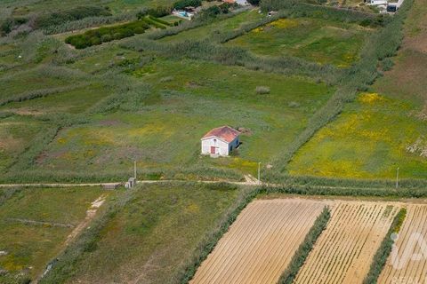 Helårsgrund i Amadora, Lisbon, Amadora - € 2.000.000 | Ref: 912709 - foto 32