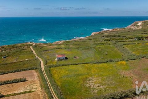 Helårsgrund i Amadora, Lisbon, Amadora - € 2.000.000 | Ref: 912709 - foto 37