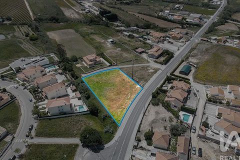 Helårsgrund i Torres Vedras, Lisbon, Torres Vedras - € 275.000 | Ref: 912075 - foto 4
