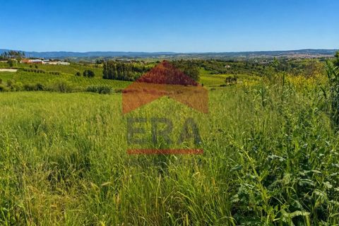 Terra a Carvalhal, Leiria, Carvalhal - € 135.000 | Ref: 150260089 - foto 2