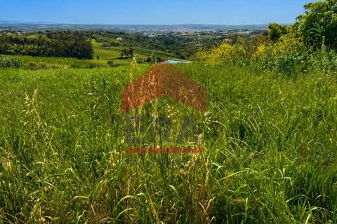 Terra a Carvalhal, Leiria, Carvalhal - € 135.000 | Ref: 150260089 - foto 3