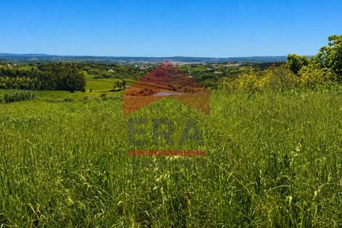 Terra a Carvalhal, Leiria, Carvalhal - € 135.000 | Ref: 150260089 - foto 4