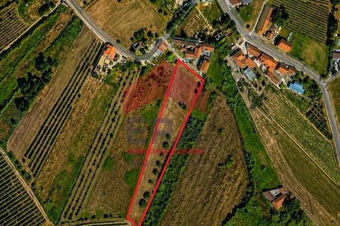 Terra a Carvalhal, Leiria, Carvalhal - € 135.000 | Ref: 150260089 - foto 6