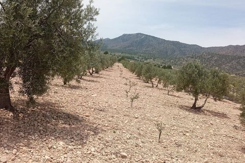 Helårsgrund i Salinas, Alicante, Salinas - € 67.999 | Ref: IVO13680 - foto 1