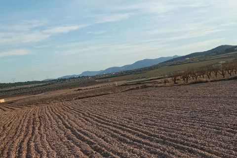 Helårsgrund i Salinas, Alicante, Salinas - € 99.999 | Ref: IVO13679 - foto 3