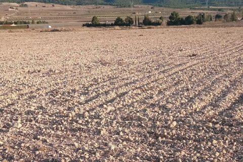 Helårsgrund i Salinas, Alicante, Salinas - € 99.999 | Ref: IVO13679 - foto 4