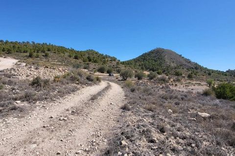 Terra a Monovar, Alicante, Monovar - € 35.000 | Ref: LJ2352 - foto 2