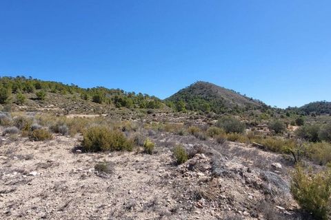 Terra a Monovar, Alicante, Monovar - € 35.000 | Ref: LJ2352 - foto 3