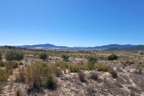 Terra a Monovar, Alicante, Monovar - € 35.000 | Ref: LJ2352 - foto 5
