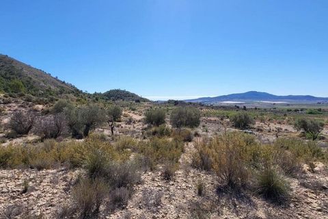 Terra a Monovar, Alicante, Monovar - € 35.000 | Ref: LJ2352 - foto 8