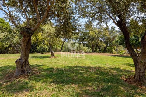 Byhus i Marbella, Malaga, Marbella - € 790.000 | Ref: 221750 - foto 36