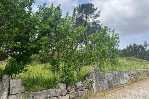 Byhus i Valongo, Porto, Valongo - € 110.000 | Ref: 881082 - foto 7