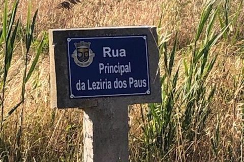 Helårsgrund i Leiria, Leiria, Leiria - € 32.500 | Ref: 914227 - foto 12