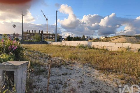 Terra a Alcobaca, Leiria, Alcobaca - € 71.900 | Ref: 914580 - foto 2