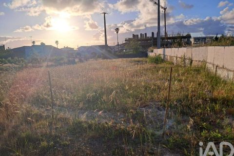 Terra a Alcobaca, Leiria, Alcobaca - € 71.900 | Ref: 914580 - foto 3