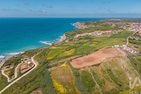 Helårsgrund i Torres Vedras, Lisbon, Torres Vedras - € 3.950.000 | Ref: 912106 - foto 2