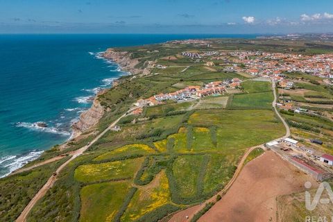 Helårsgrund i Torres Vedras, Lisbon, Torres Vedras - € 3.950.000 | Ref: 912106 - foto 5