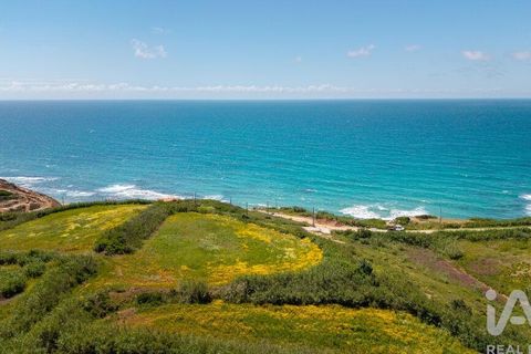 Helårsgrund i Torres Vedras, Lisbon, Torres Vedras - € 3.950.000 | Ref: 912106 - foto 7