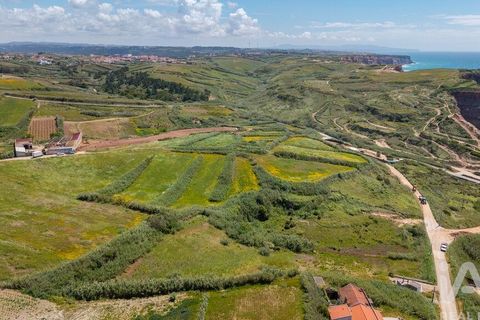 Helårsgrund i Torres Vedras, Lisbon, Torres Vedras - € 3.950.000 | Ref: 912106 - foto 8