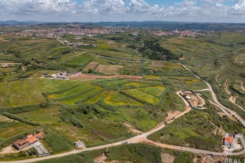 Helårsgrund i Torres Vedras, Lisbon, Torres Vedras - € 3.950.000 | Ref: 912106 - foto 10