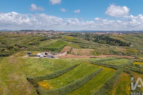 Helårsgrund i Torres Vedras, Lisbon, Torres Vedras - € 3.950.000 | Ref: 912106 - foto 13