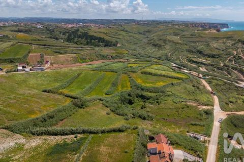 Helårsgrund i Torres Vedras, Lisbon, Torres Vedras - € 3.950.000 | Ref: 912106 - foto 14