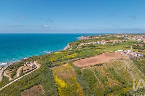 Helårsgrund i Torres Vedras, Lisbon, Torres Vedras - € 3.950.000 | Ref: 912106 - foto 15