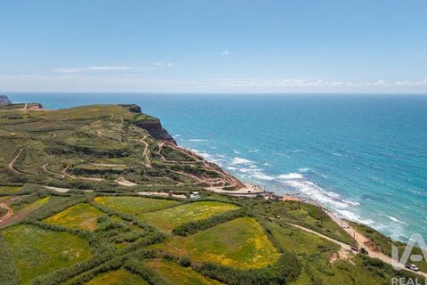 Helårsgrund i Torres Vedras, Lisbon, Torres Vedras - € 3.950.000 | Ref: 912106 - foto 23