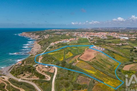 Helårsgrund i Torres Vedras, Lisbon, Torres Vedras - € 3.950.000 | Ref: 912106 - foto 1