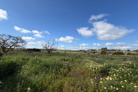 Finca i Manacor, Mallorca, Manacor - € 1.700.000 | Ref: FALC-ViSc-82500 - foto 19