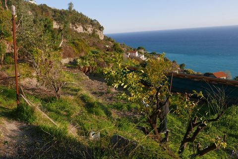 Helårsgrund i Ventimiglia, Imperia, Ventimiglia - € 70.000 | Ref: 83497519 - foto 8